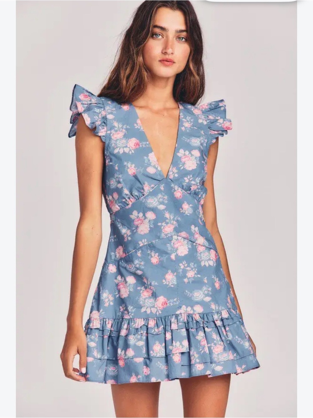 LoveShackFancy Arthur Mini Dress in Blue Carnation Floral - Size 6